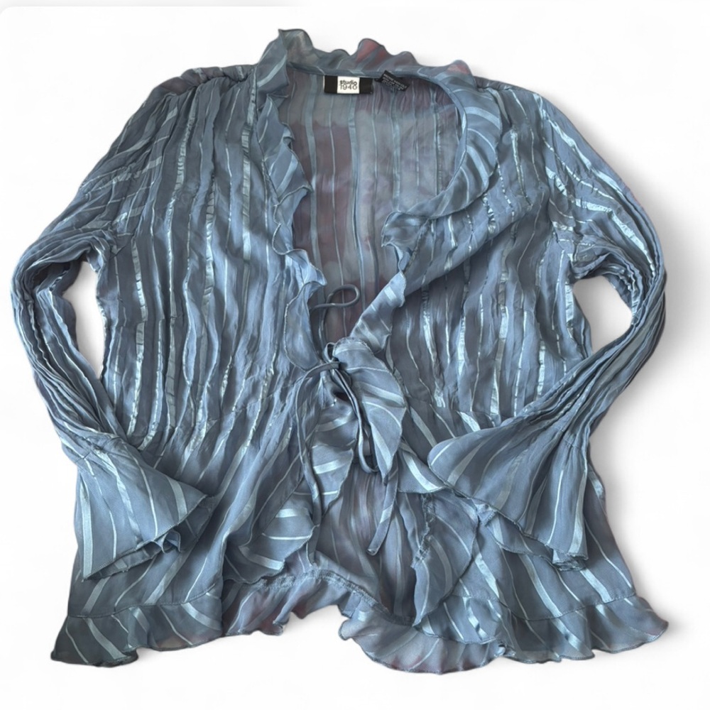 Studio 1940 Sheer Textured Blouse in Light Blue